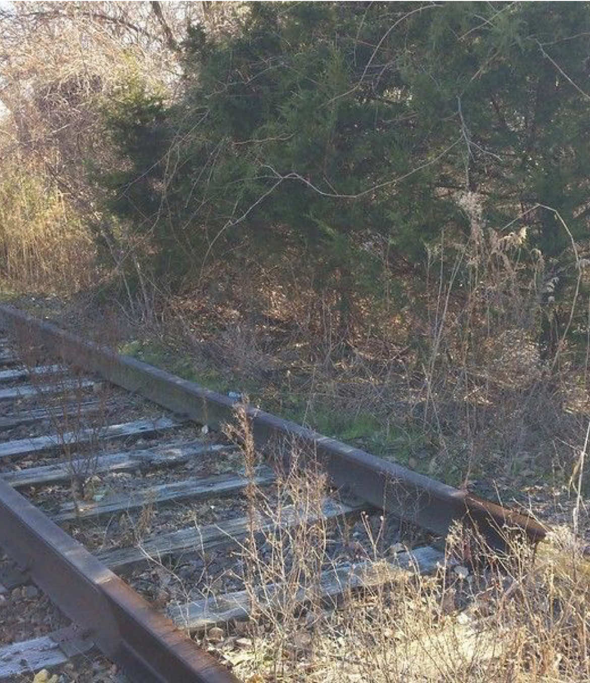 #ilovemobo #mobo #modernbaseball #tearsoverbeers 