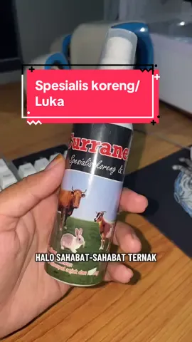 Obat spesialis koreng dan luka untuk segala jenis hewan ternak /peliharaan#curranex #curranexobatsapilatolato #obatkambingcurranex #obatkoreng #obatlukacepatkering 