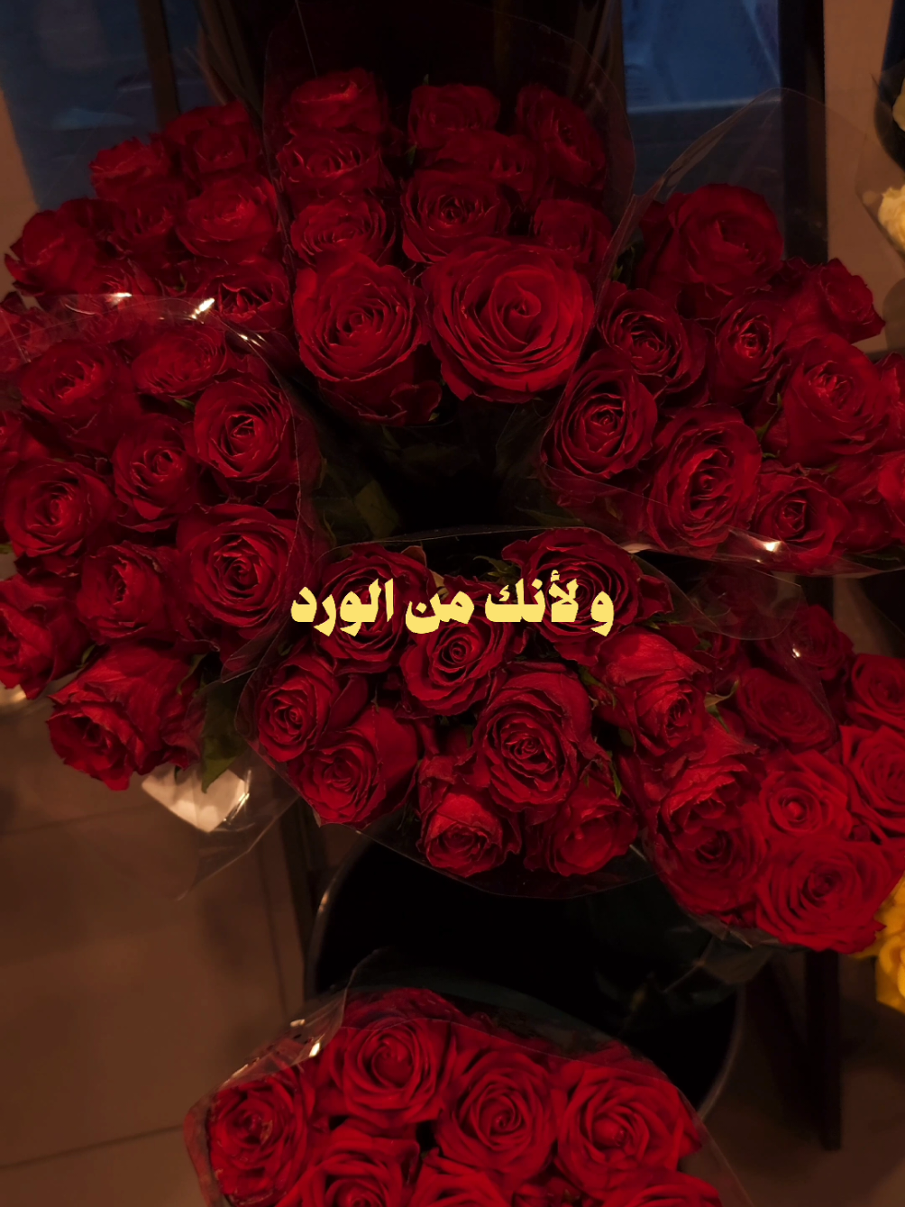 بس الورد اللي بيلبقلك ⚘️ . . . . #explore #flowers  #ورد 