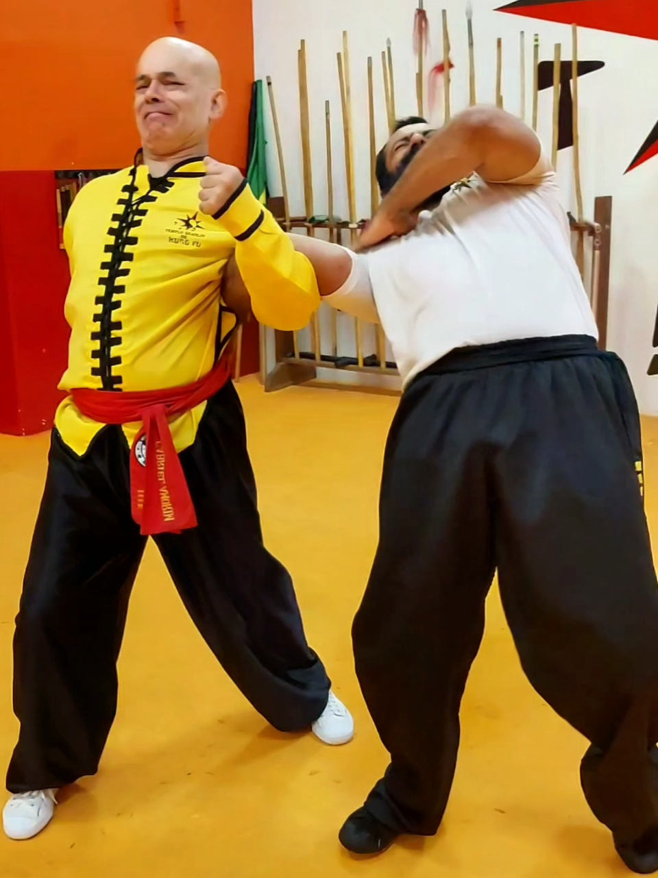 TSKF Kung Fu Equilíbrio em todos os sentidos #tskf #kungfu #chikung #artemarcial #defesapessoal 