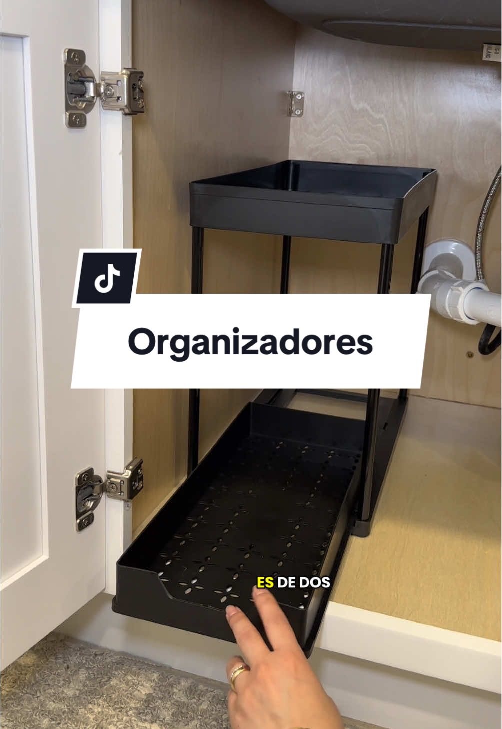 Organiza under sink #organizedhome #organizewithme #cleanhome #organizing #tiktokshopcreatorpicks 