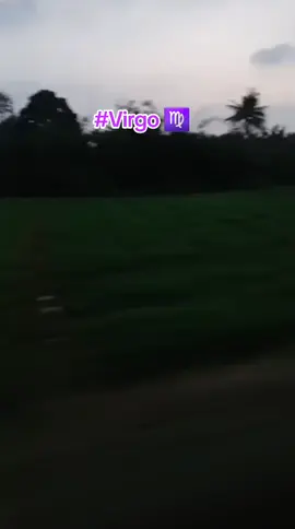 Fakta/Mitos?? #Virgo #zodiacs #fypage  #fyppppppppppppppppppppppp 