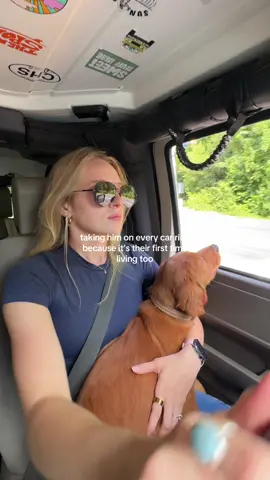 my little goosie boy 🪿🥹🫶🏼  #puppytok #dogowner #goldenretriever  