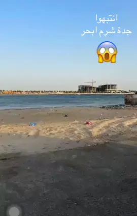 سمك قرش في جدة شرم ابحر#trend #اكسبلور #مشاهير_تيك_توك 