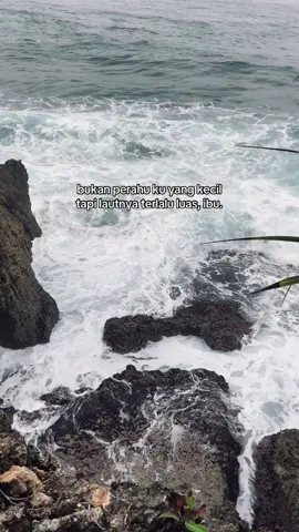 🦀🦈🦦🌊🫧 #pantaivibes #beach 