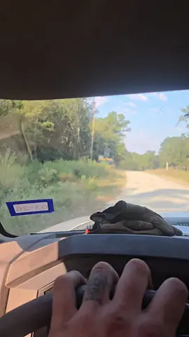 perks of traveling to random job sites #bluecollar #excavator #fyp #fypシ゚viral  #fypシ 