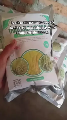 benih padi berkualitas tinggi 3x lipat lebih lebat,benih unggul viral di indonesia🥳🥳 #sobattaninusantara #benihberkualitas #thailandjumbo #fyppppppppppppppppppppppp 
