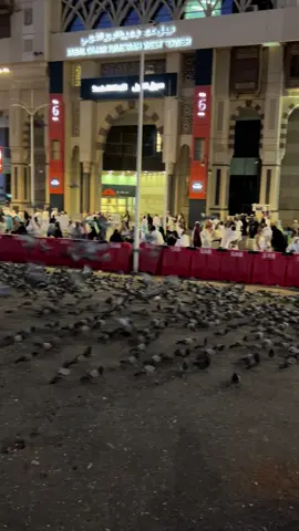 Makkah🖤masaallah#Makkah 