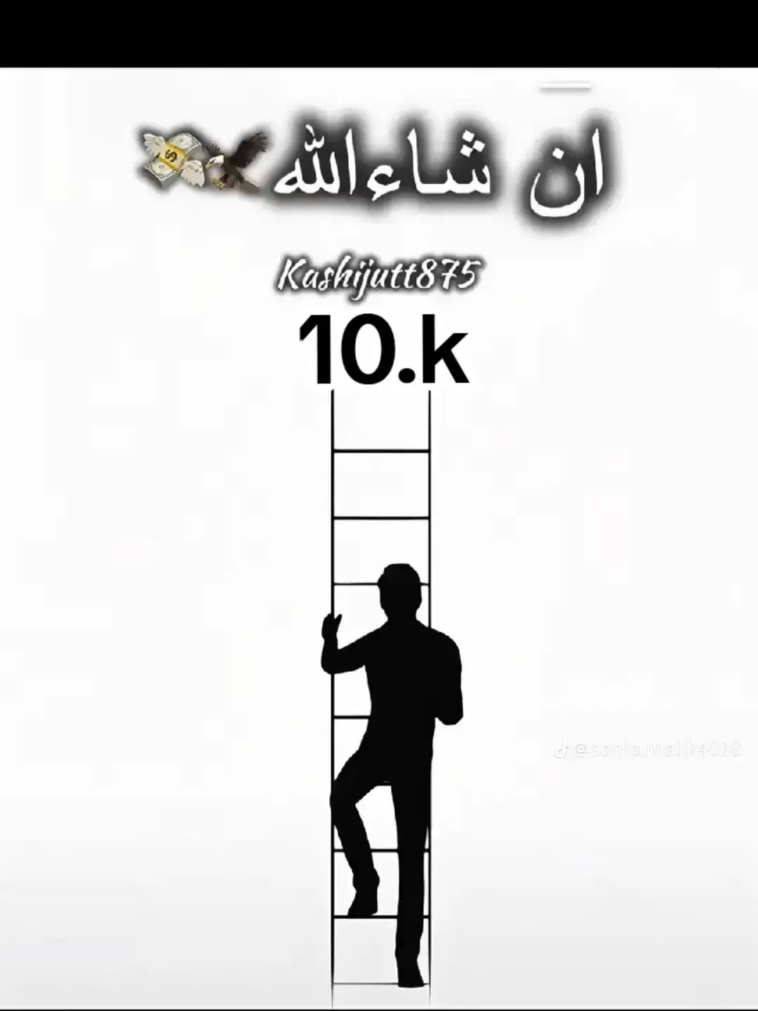 100 like like like 66, Haseeb Rajpoot brand Haseeb Rajpoot king 👑 👿 Rajpoot vs 10.k
