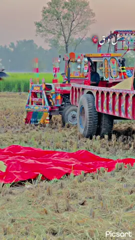 Lari🔛🔝#dontunderreviewmyvideo #growmyaccount #وسام۔بریار #BARYAR 