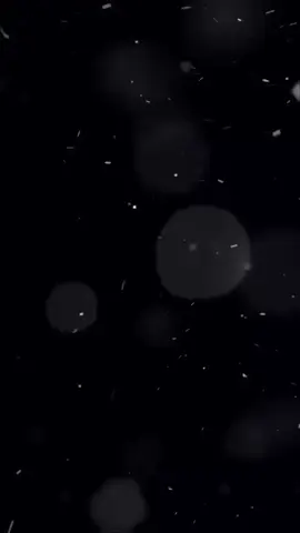 “ 别犯错，我是代价。” Đừng phạm phải sai lầm, tao chính là cái giá. #同类 #dongloai #nghiemcan #euja_www #fyp 