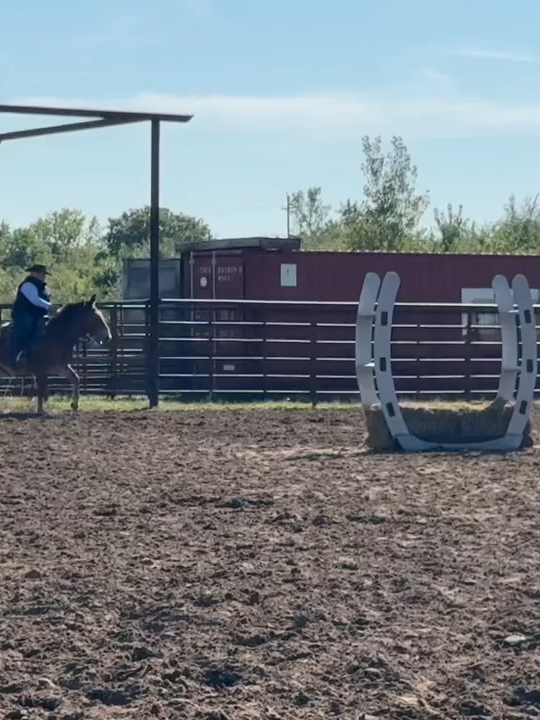 Pretty sure the last obstacle competition I was able to compete in was around 2016. This is the first half of my run. My mule, JoJo, is not a huge fan of obstacles, but does ok. We have a competition next weekend and a world championship at the end of October. It took a lot to have me go back to taekwondo to a national championship last year, and a world championship this year in extreme cowboy racing. I had taken 11 years off from competitive fighting, and 9 years off from obstacle competitions. Having our own business made me miss out on some “me” time that I am reclaiming while I can. Coming back is a strange feeling…I’m way less nervous and have a healthier relationship with competing. #comeback #comebackstronger #obstaclecourse