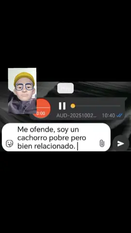 #audioswhatsappecuador #LIVEIncentiveProgram #viral #soyunpeluche #uncachorromilkiwey 