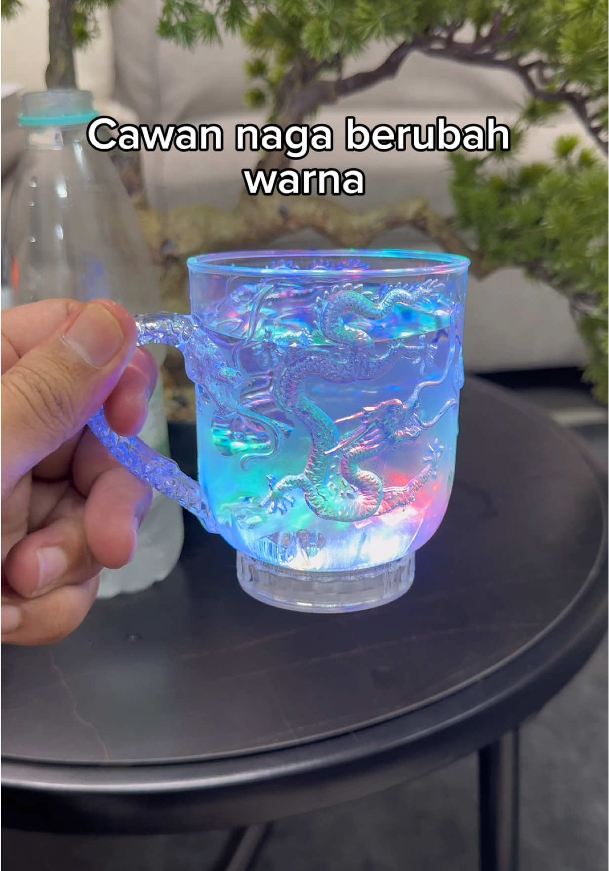 Cawan abang abang besar😂 #cawan #cawannaga #cawanlampu 