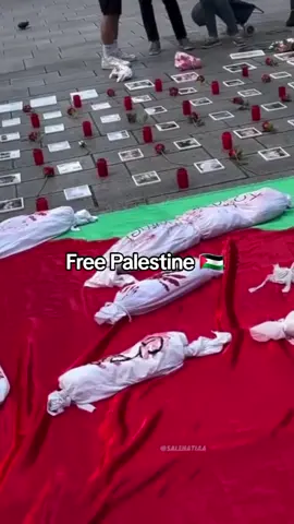 #palastine #palastine #ghaza #free 
