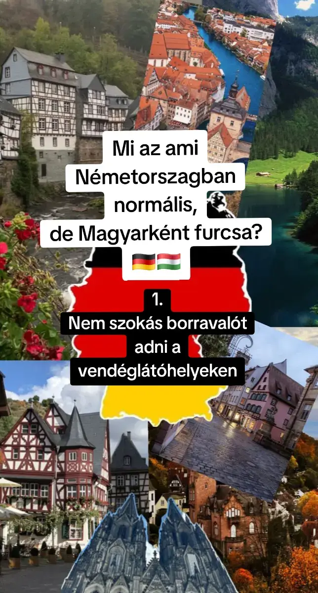 #németországimagyarok #foryou #magyarok #érdekességek #németorszag @Cindy Hohlweck-Ingatlan tippek 