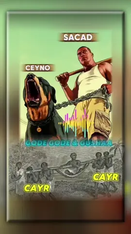ceyr gaajo 🥚#galamudug🤍💙💚 #hirshabelle💙🤍💚 ##hirshabelle💙🤍💚 #CapCut @Aarka hg#sacad_saciid👑🦁🥰 