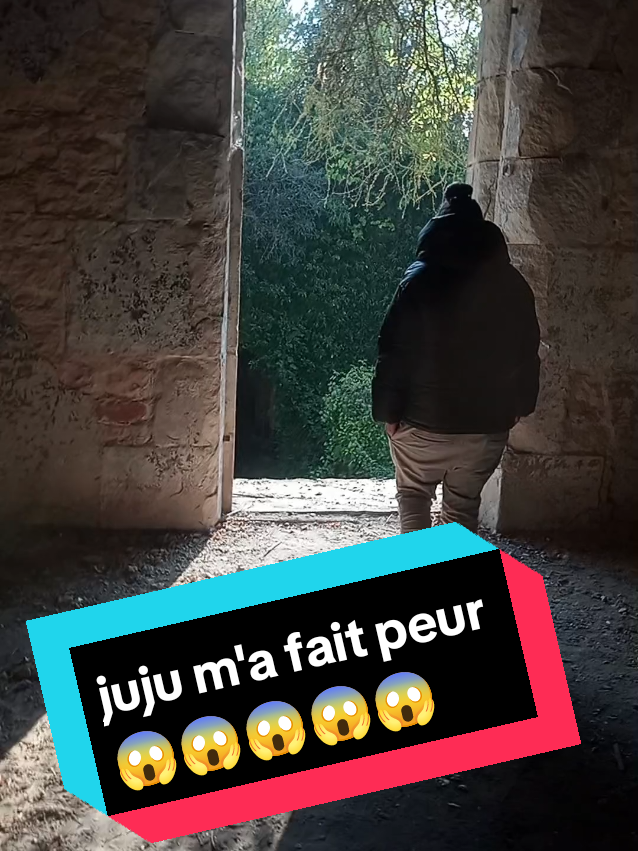 Juju m'a fait peur 😱😱😅😅😅 #paranormal #para #urbex #abandoned #pourtoi 