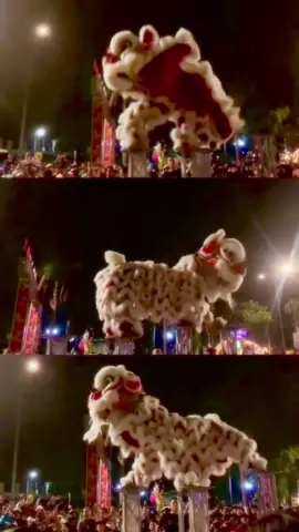 Lân này đáng iuuuu thế😍