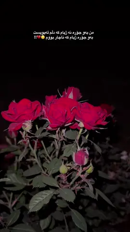 7:07🥀💔#bazi #barzani #tiktok #imvrou✅ #fypシ゚viral #foryourpage #actives? #tiktok 