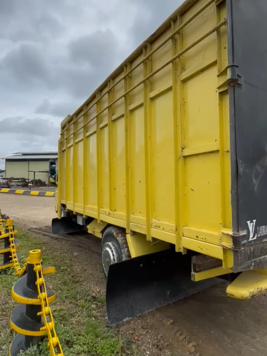 apa kita pijak aja tungkuknyaa😂