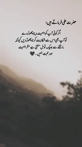 hazrat Ali RA farmate Hai🖤 #1millionaudition #aesthetic #poetrystatus #foryou #foryoupage #fyp #deep_lines467 