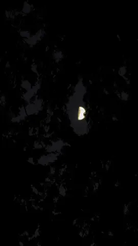 سیاه رات ، اداس دل الجھی ہوئی زندگی، تھکے ہوئے ہم