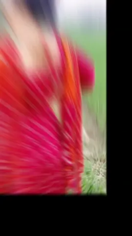 😂😆 chere jauar r Kono excuse chilona #@For You @TikTok Bangladesh @fyp viral tiktok 