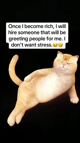 #justme #fypシ゚viral #catmeme #memestiktok #memecut  @Jᴜsᴛ Mᴇ 🤍ྀིྀིྀིྀིྀི  @Jᴜsᴛ Mᴇ 🤍ྀིྀིྀིྀིྀི  @Jᴜsᴛ Mᴇ 🤍ྀིྀིྀིྀིྀི 