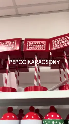 Irány a Pepco #pepco #christmas #foryou #nekedbelegyen #foryoupage 