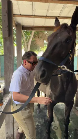 ⭐️⭐️⭐️⭐️⭐️