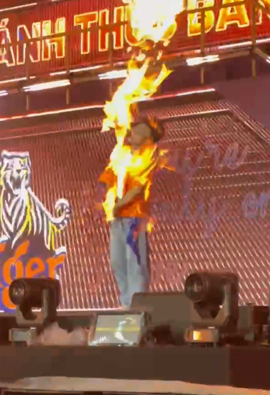 omg, muốn quậy trên đó luôn é 💁 #tronghieu #tiger #fypp 