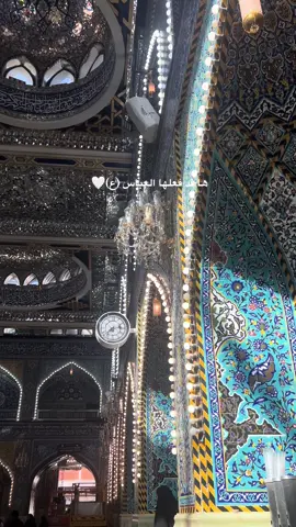 #كربلاء_المقدسة_العراق_كربلاء 
