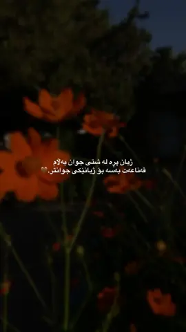 قەناعەت بەسە بۆ ژیانێکی جوانتر.#وتةي_جوان📝 #فۆڵۆم_بکەن #ئەکتیڤبن🥀🖤ـہہـ٨ــہ #foryou 