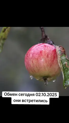 #новости #обмен 