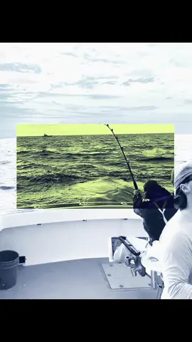 Gov shut down?!!! Let’s go rock 😂😂