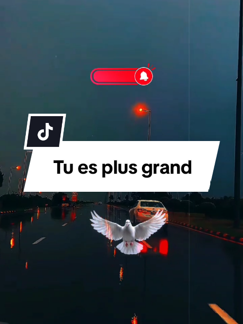 Tu es plus grand que ce que l'on dit #fypageシ #fypシviral #pourtoi #tiktokchretien #Dieu 