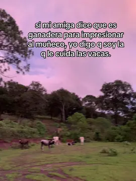 #komander #viraltiktok 