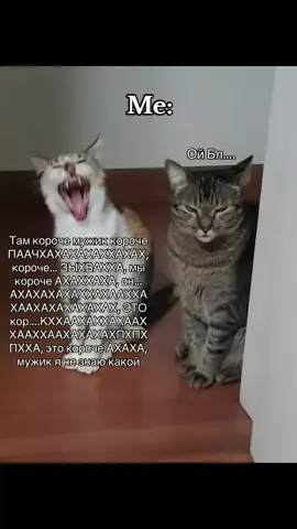 #мы #Рекомендации #Ryp #отмечайдруга 