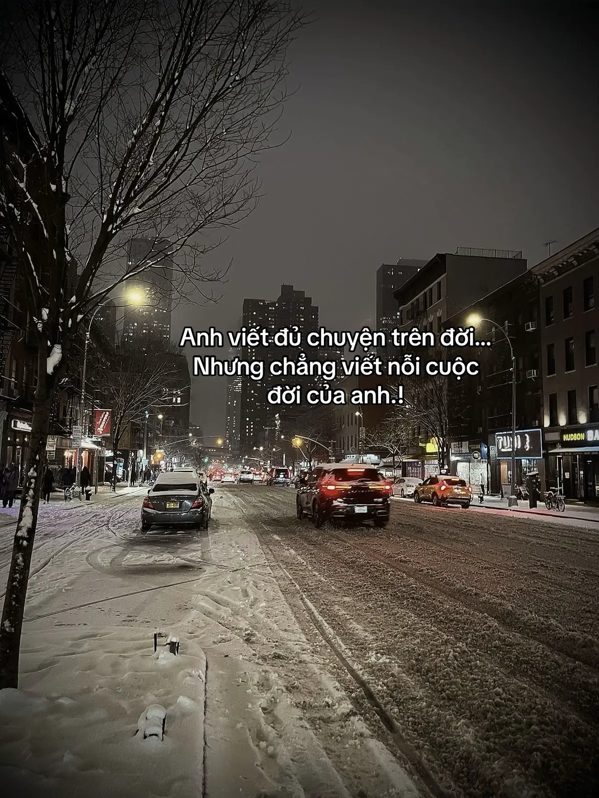 Anh viết đủ chuyện trên đời…!  Nhưng chẳng viết nỗi cuộc đời của anh