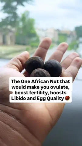 Girl, if you have been sleeping on African walnut (Asala) 😭🌰… not knowing it’s actually so good for fertility + hormones. You are wrong! #Trending #Walnut #fypage #fertilityjourney #viral 