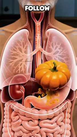 #ConSantanderConecto #anatomy #humanbody #fyp #foryoupage❤️❤️ 