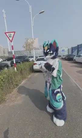 This is the end of grabbing the dragon fan ( Bilibili: 一天迹-- ) #furry #cute #fyp #fur #fursuit 