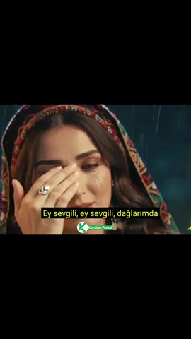 Dilberê Evînê 🌷🌼 #Dilber​ #​ #DilberêEvînê​ #KurdishMusic​ #Kurdishsong 