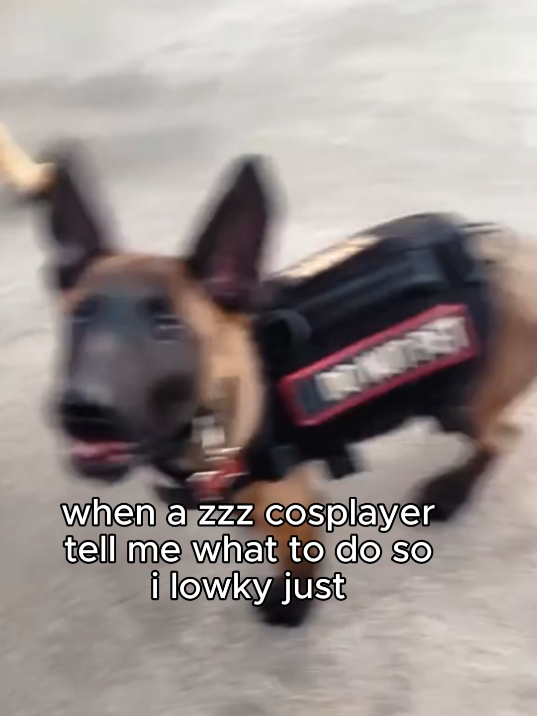 yeah #fyp #zzz #zenlesszonezero #miyabi #ellenjoe #cosplayers #viral #funny #giftok #trending #meme #67 #memestiktok