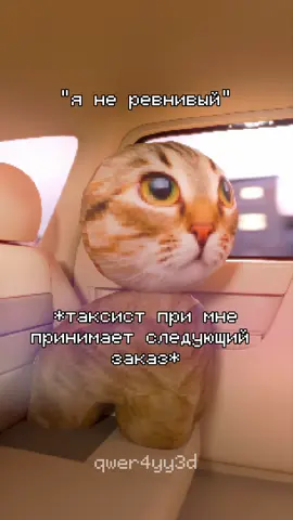 Жалко бедолагу 😔 #3д #блундер #кот #мем