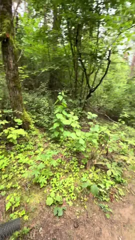 Это я пытался заснять треху вытоге камеру низко повесил