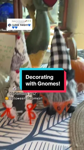 Replying to @AnnaLisa🌈🧚🧚✨️✨️ #gnomes #gnomecore #halloween #thisishalloween #fyp 