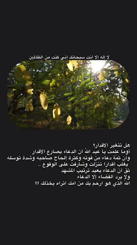 #هدوء #اللهم_صل_وسلم_على_نبينا_محمد #fyppppppppppppppppppppppp #اقتباسات 