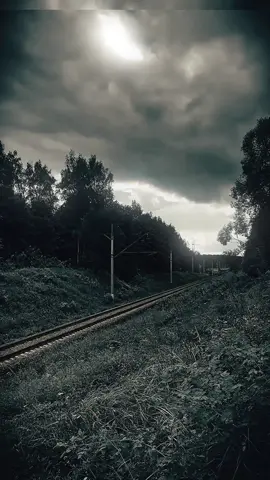 Song: VEKI VEKI 2 💀🚨@rzd_fan7 #phonk #funk #fypシ゚ #viralllllll 